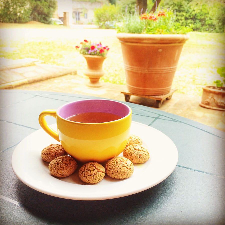 Amaretti cookies