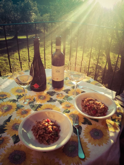 Dinner Under the Tuscan Sun