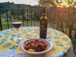 Dinner for One in Tuscany